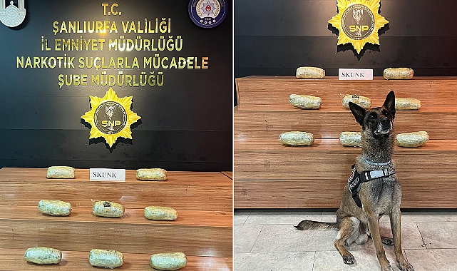 Urfa’da Yüklü Miktarda Uyuşturucu Ele Geçirildi! 1 Gözaltı