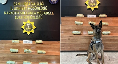 Urfa’da Yüklü Miktarda Uyuşturucu Ele Geçirildi! 1 Gözaltı