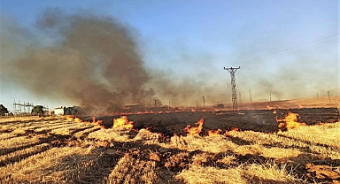 Anız Yangını Nedeni İle Şanlıurfa’da 16 Mahalle Elektriksiz Kaldı