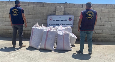 Antep Fıstığı Hırsızları Sezonu Açtı