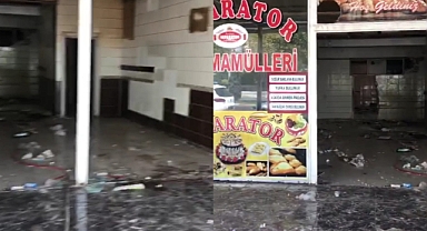 Şanlıurfa'da Akıl Almaz Hırsızlık! Kapıları Bile Söktüler