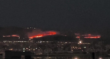 Şanlıurfa'da Korkutan Yangın! Kısa Sürede Yayıldı