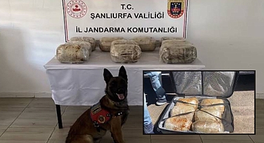 Şanlıurfa’ya Uyuşturucu Sevkiyatı Yapan Şahıs Yakalandı!