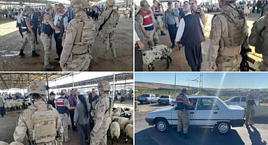 Siverek’te Canlı Hayvan Pazarında Denetim!