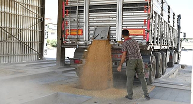 Urfa O üretimde İlk Sıralarda! Ülke Ekonomisine Katkı Sunuyor