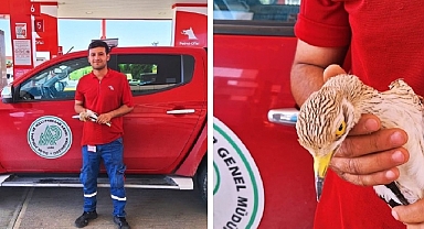 Urfa'da Bitkin Ve Yaralı Halde Bulundu!
