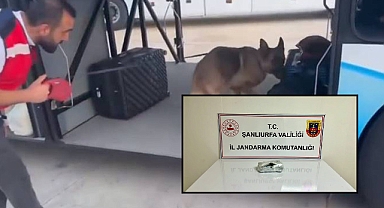 Urfa’da Durdurulan Otobüste Ele Geçirilen Madde Şaşırttı! 1 Gözaltı