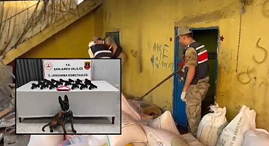 Urfa’da Silah ve Uyuşturucu Madde Ele Geçirildi! 2 Gözaltı