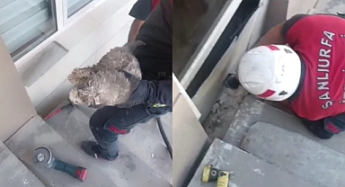 Urfa'da Yavru Köpek Kurtarma Operasyonu