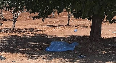 Bozova'da Cesedi Bulunan Gencin Kimliği Belli Oldu