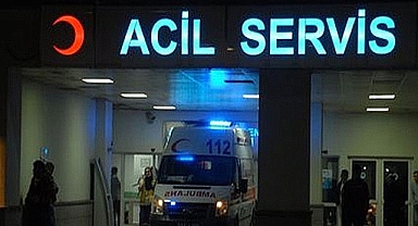 Fıstık Bahçesine Giren Hırsız Tüfekle Vuruldu