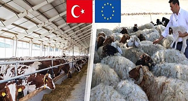 Bakanlık Açıkladı! Hibe Tutarı 21,3 Milyar Liraya Ulaştı