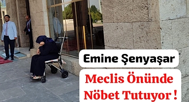 Emine Şenyaşar Hasta Haliyle Nöbetine Devam Ediyor