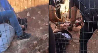 Sokak Ortasında Korku Dolu Anlara Sebep Olan Şahıslar Yakalandı