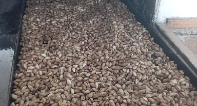 Urfa Fıstığını Kavurmak İçin Fırına Gönderdi!