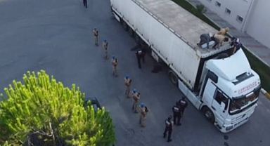 Göçmen Kaçakçılığı Operasyonları! Aralarında Urfa da Var!