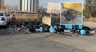 Haliliye İlçesinde Çöp Dağları Oluştu!