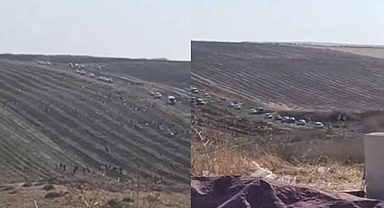 Hilvan'da Yer Fıstığı Tarlası Talan Edildi