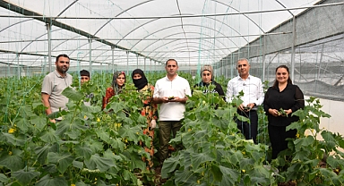 Siverek'te Seracılık İle Kadınların İstihdamına Katkı Sağlıyor
