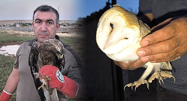 Urfa’da Kartal Ve Peçeli Baykuş Tedavi Altına Alındı
