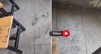Urfa'da Okul Sınıfları Çöplük Yuvasına Döndü!