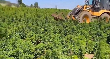 Zehir Tacirlerine Darbe! 2 Tona Yakın Uyuşturucu Ele Geçirildi