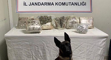 Şanlıurfa'da Uyuşturucu Operasyonu: 9750 Kg Kubar Esrar Ele Geçirildi