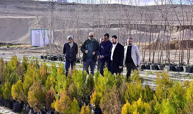 Ceylanpınar'da Parklar Yenileniyor, Yeşil Alanlar Artıyor!