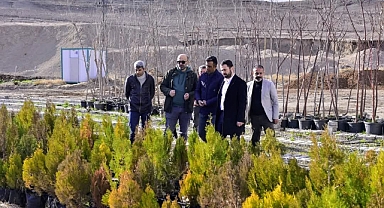 Ceylanpınar'da Parklar Yenileniyor, Yeşil Alanlar Artıyor!