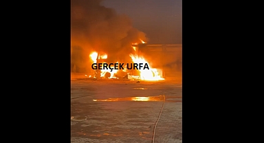 Şanlıurfa'da Korkutan Yangın! TIR Alev Alev Yandı