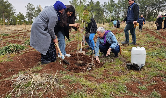 Viranşehir’de Kadınlar 8 Mart İçin Ağaç Dikimi Yaptı