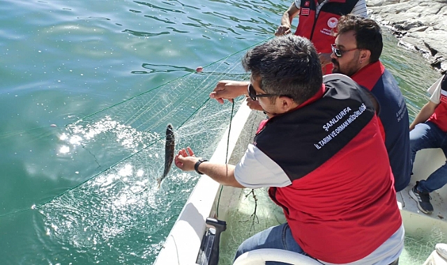 Şanlıurfa Dahil 7 İl’de Balıkçılık Denetimi! Kurallara Uymayana Ceza Yağdı