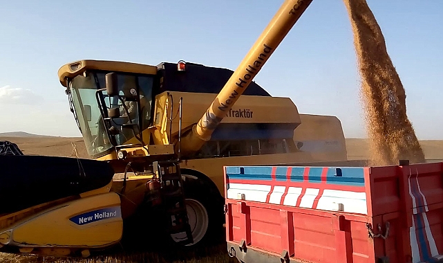 Şanlıurfa'da Buğday Rekor Kırdı, Üretici Taban Fiyat Bekliyor