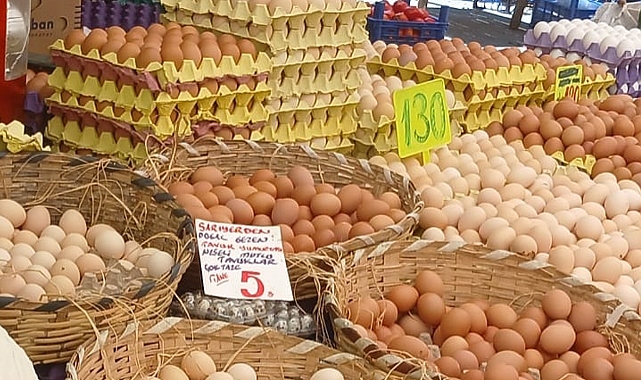 Şanlıurfa'da Yumurta Fiyatları Uçtu! Satıcılar ve Tüketiciler Memnun