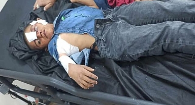 Şanlıurfalı Mahmut, Konya’da Başıboş Köpeklerin Hedefi Oldu!