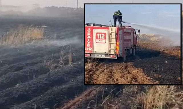 4. Şanlıurfa’da Buğday Tarlasında Yangın! 170 Dönüm Zarar Gördü