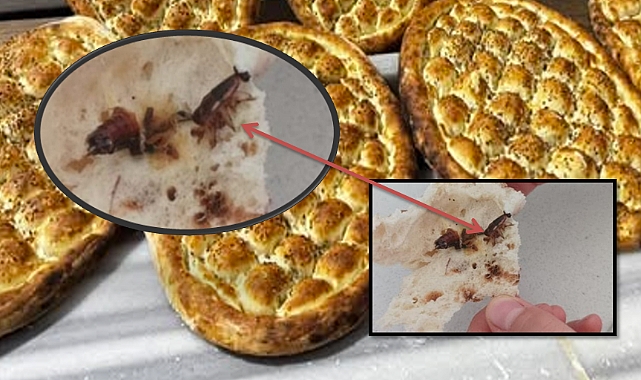 Şanlıurfa’da Gıda Skandalı, Fırından Ekmek İçinden Hamam Böceği Çıktı!