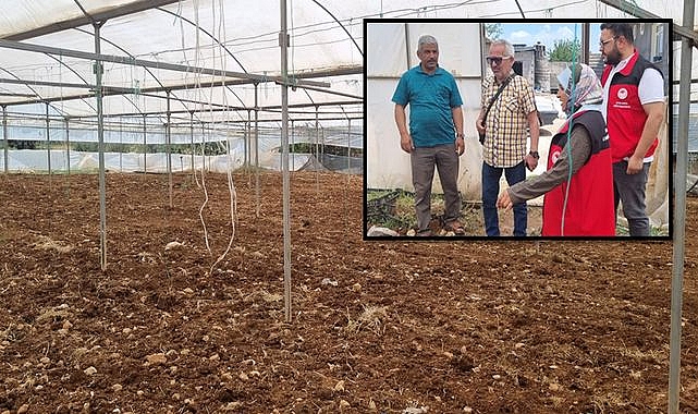 Şanlıurfa Tarımında Model Değişiyor, Serada Üzüm Yetiştiriciliği Başladı!