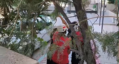 Şanlıurfa’da Küçük Çocuğun Kolu Demir Korkuluklara Sıkıştı!