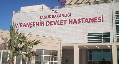 Şanlıurfa'da Tarlada Sulama Yapan Genci Yılan Isırdı