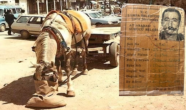 Şanlıurfa’da Bir Zamanlar At Arabası Sürücü Belgesi Vardı!