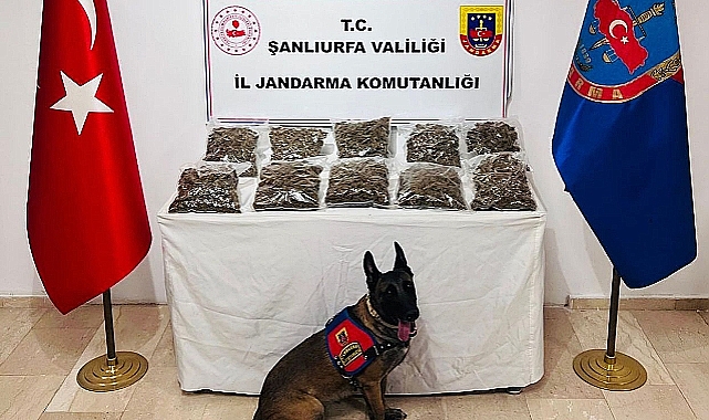 Şanlıurfa’da Dev Uyuşturucu Operasyonu! 7 Kilo Skunk Ele Geçirildi