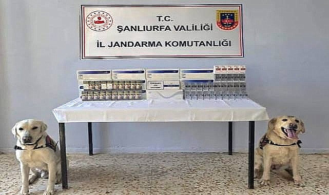 Viranşehir’de Kaçak Sigara Baskını! 1.030 Paket Ele Geçirildi