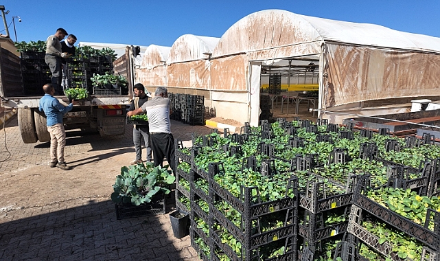 Şanlıurfa Büyükşehir’den Doğaya ve Ekonomiye Çifte Katkı! Kendi Çiçeğini Üretiyor