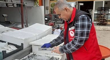 Şanlıurfa’da Balık Satış Noktalarına Sıkı Denetim Başladı!