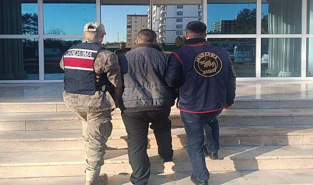 Şanlıurfa’da Firari Hükümlü Jandarma Operasyonuyla Yakalandı