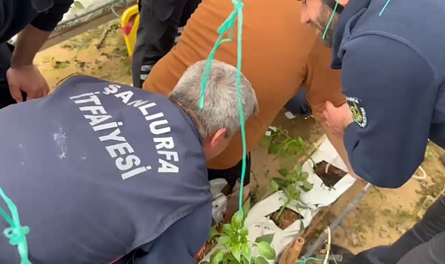 Şanlıurfa’da Serada Feci Kaza Genç İşçi Demirin Altında Kaldı!