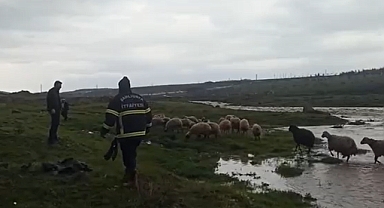 Siverek’te Dereye Düşen Çoban ve 40 Koyun Kurtarıldı