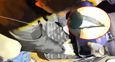 Siverek’te Zehir Operasyonu Valizden 2,4 Kilo Eroin Çıktı!