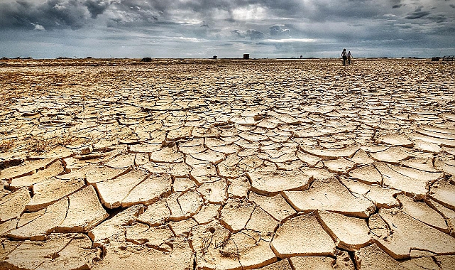 TMO Raporu Tarımda Tehlike Çanlarını Çaldı! İşte Detaylar